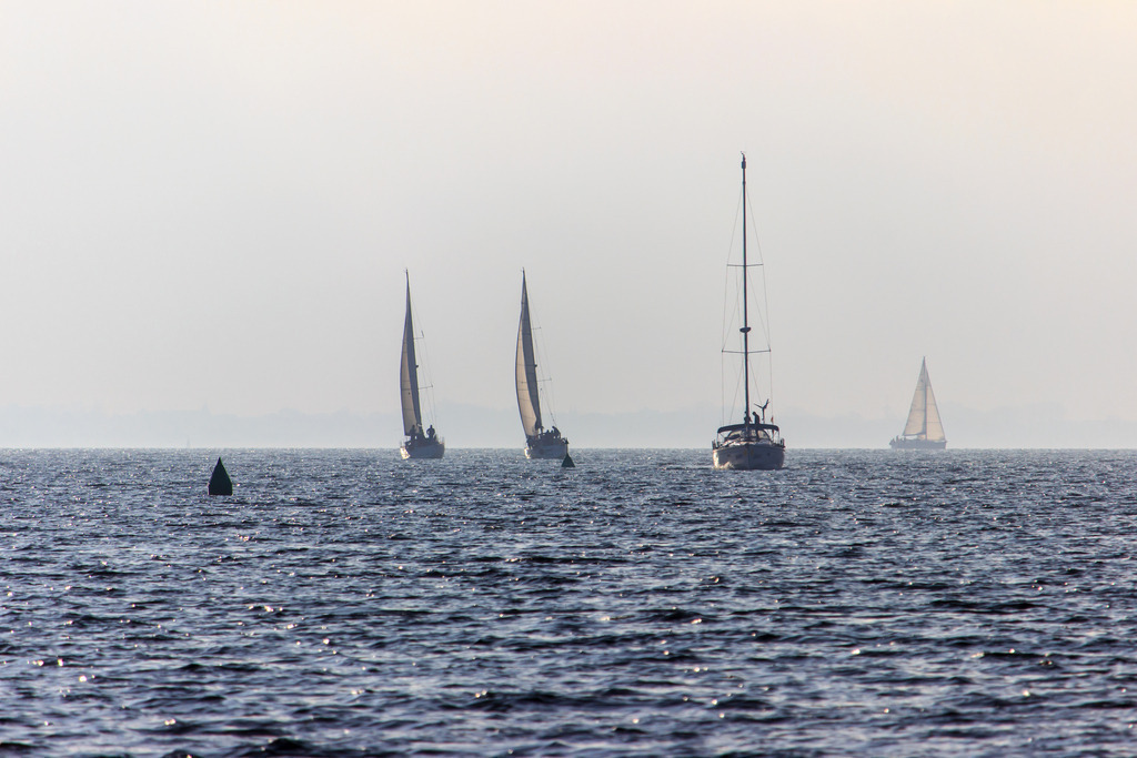 Wandbild: Segelboote vor Fehmarn | Dieses Wandbild im Querformat zeigt vier Segelboote vor Fehmarn in schöner morgendlicher Lichtstimmung.  - Realisiert mit Pictrs.com