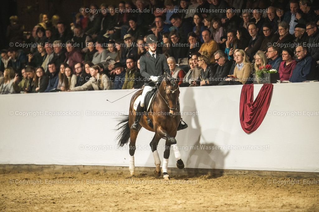 20240302_Hengstvorstellung_Marbach_TOMsPiC_1197 | equistock