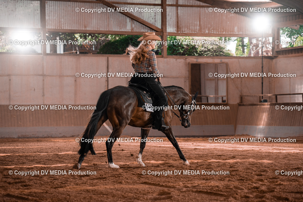 NE100385 | dv-media-shop - Realisiert mit Pictrs.com