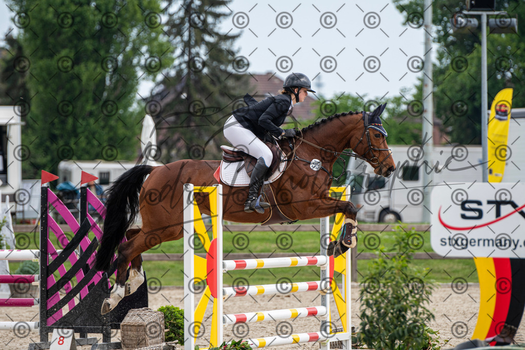 KPT_3528 | andre_photographic