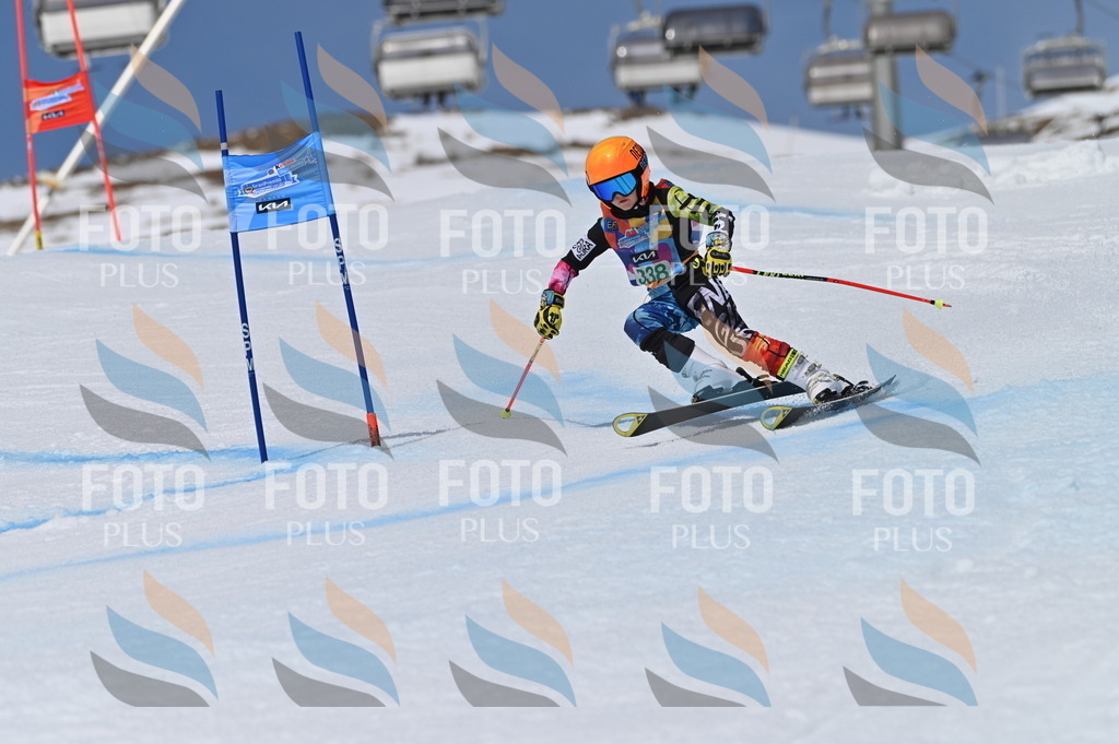 BGV_6696 | holidayphoto