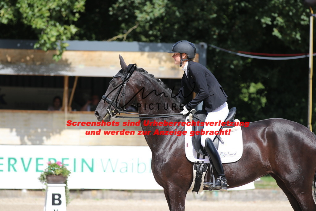 IMG_5318 | lmwpictures - Realisiert mit Pictrs.com