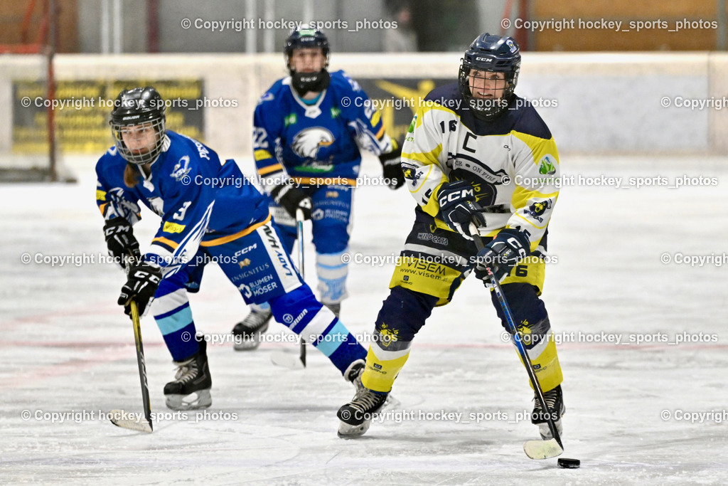 Wildcats Paternion vs. Lady Hawks  | #16 Anton Sandra WILDCATS PATERNION, Wildcats Paternion vs. Lady Hawks , Wildcats Paternion vs. Lady Hawks  am 27.01.2025 in Spittal an der Drau (Eissportzentrum Spittal), Austria, (Photo by Bernd Stefan)