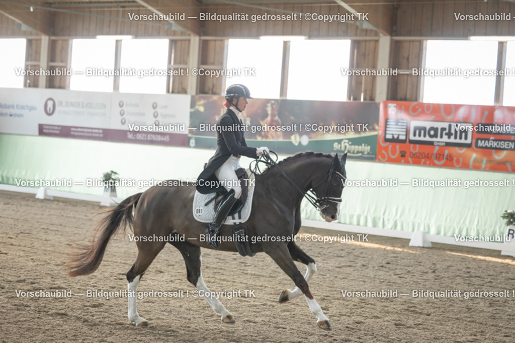 _D5A7880 | Emotionale Pferde- & People-Fotografie rund um Heidelberg, Leimen & Umgebung. Natürliche Fotos von Pferd, Mensch & Familie. Jetzt Termin sichern!