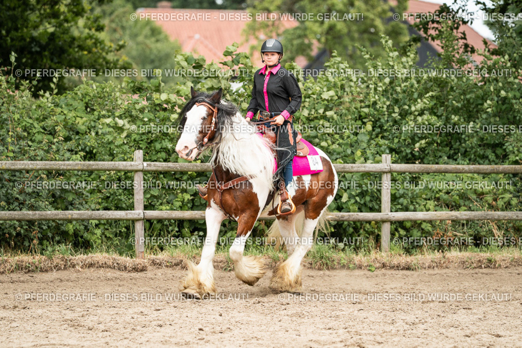 DSC01310 | Pferdegrafie