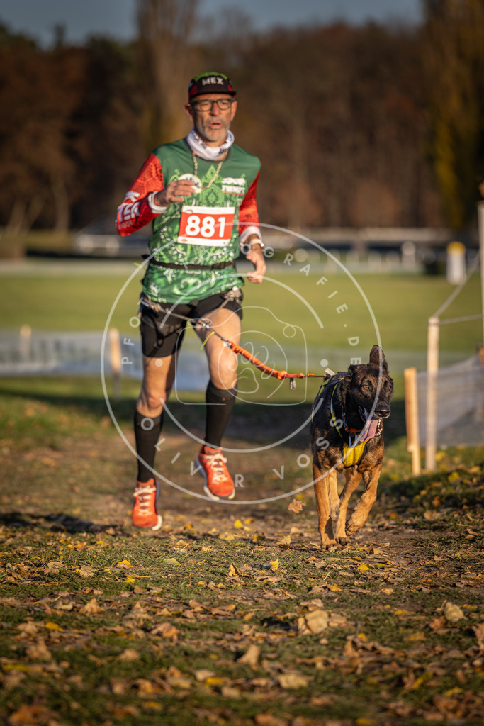CaniXpix_DV3A4342 | Hundefotografie, Tierfotograf, Pfotenfotografie, Fotoshooting Hund, Hunde Portrait, Hundesport, Hundeportraits, Heideshooting, Hunde, Sportfotograf, Hundefotograf, Turnierhundsport, THS,  - Realisiert mit Pictrs.com