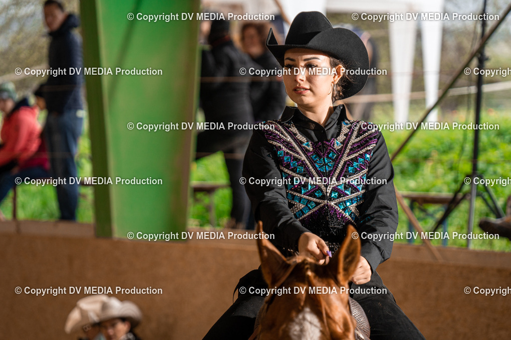 BAL00304 | dv-media-shop - Realisiert mit Pictrs.com