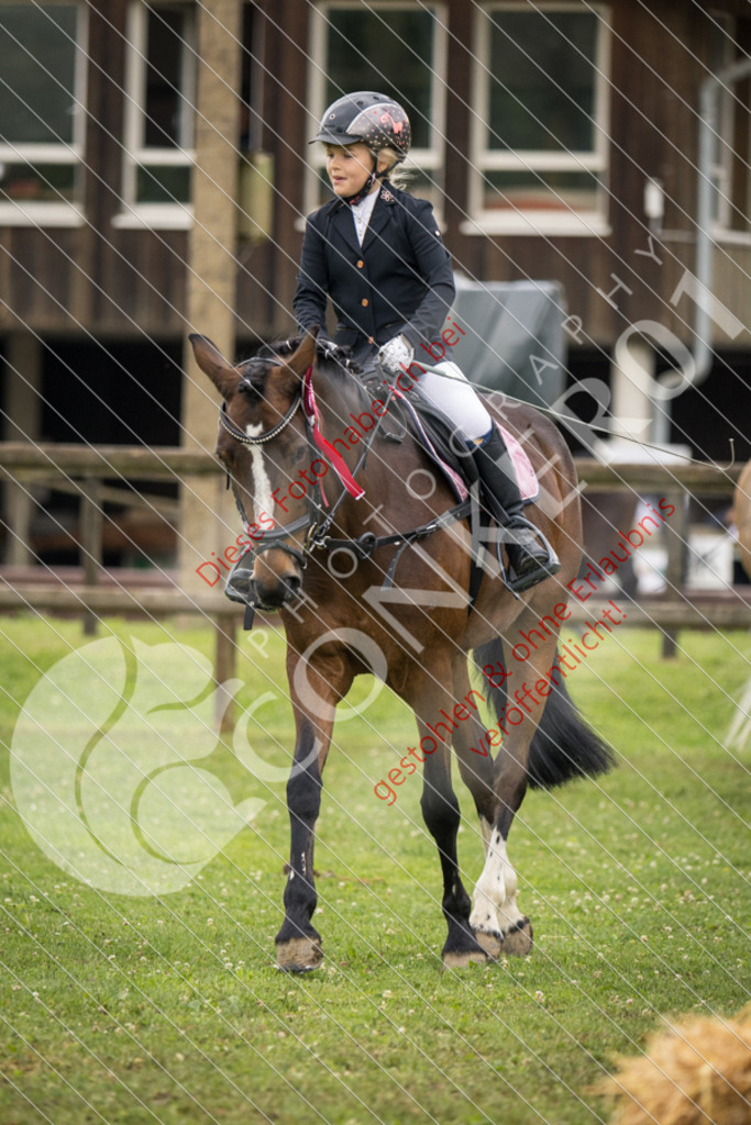IMG_2007 | Sport-, Event- und Tierfotos in Profiqualität. Einfach auswählen, bestellen und herunterladen. Dein Moment – perfekt festgehalten.