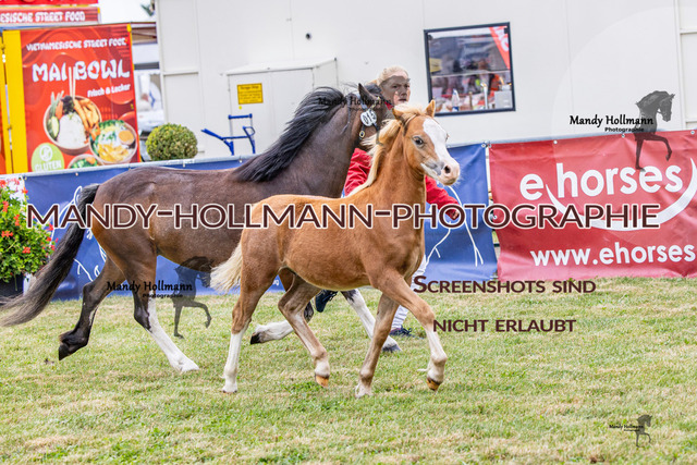 LTN 1 (517 von 918) | mandyhollmannphotographie