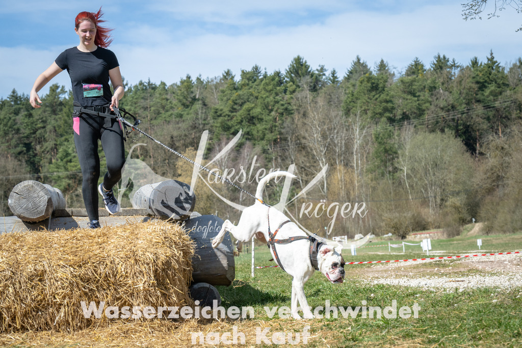 1219_ZZ99280 | kk-dogfotos