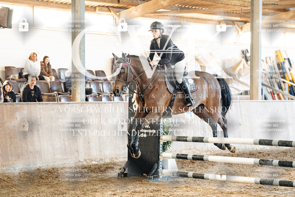 CK904382 | Turnierfotografie Pferdefotografie Trier Rheinland-Pfalz Pferdesport Reitsport Tierfotografie Sportfotografie Pferdevideo Pferdevideografie Equestrianvideography equestrianphotography  - Realisiert mit Pictrs.com