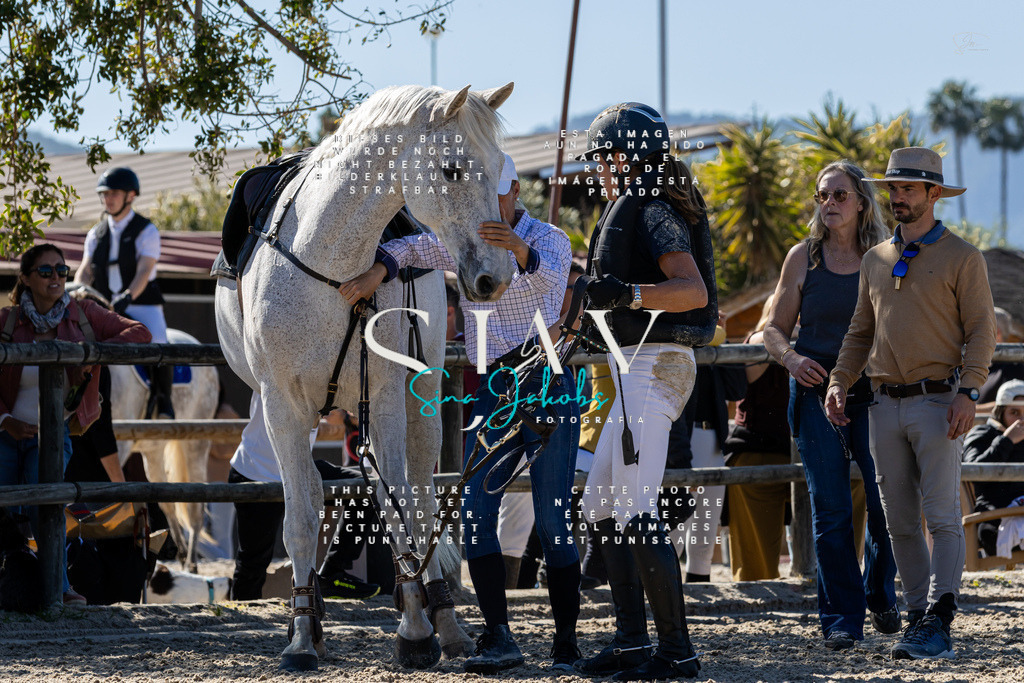 IMG_0933 | s-jay-photography - Realisiert mit Pictrs.com