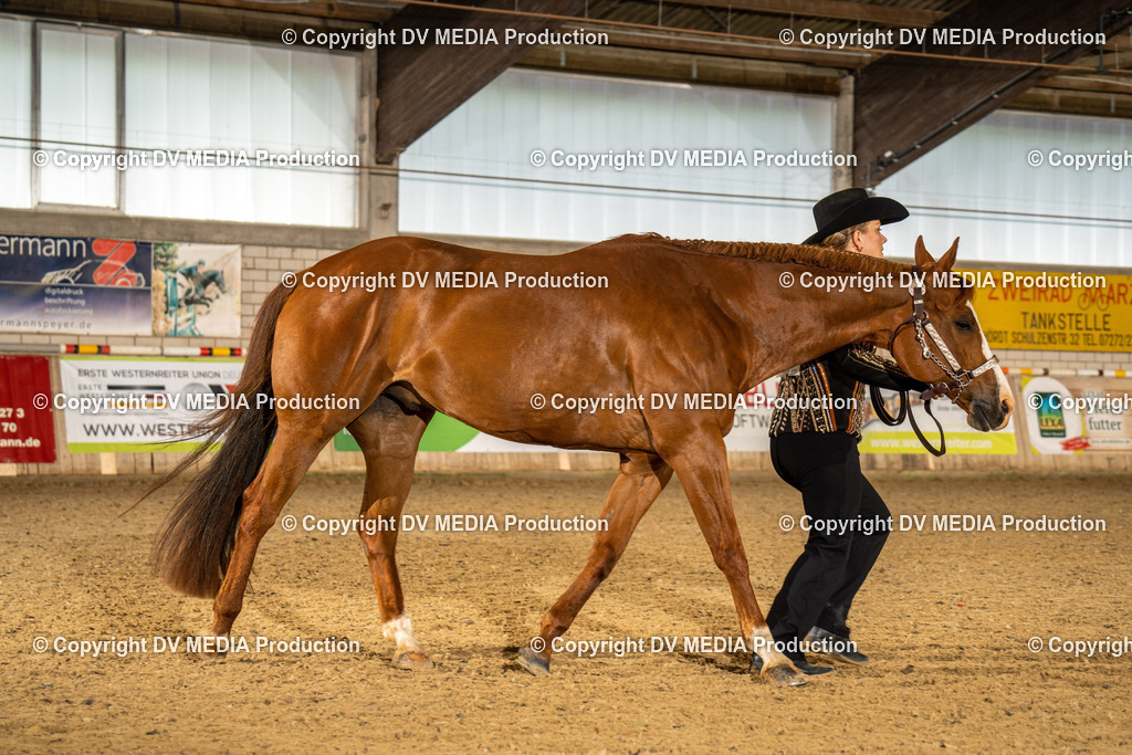 Zeiskam Tag 1-294 | dv-media-shop - Realisiert mit Pictrs.com