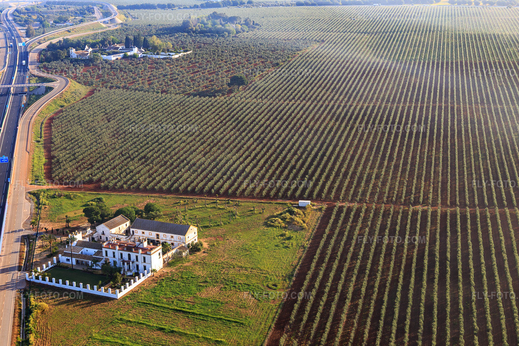 Aerial view: Hacienda Menaca is located between olive groves on the A-4 Autovia del Sur. in Dos Hermanas in the state Seville, Spain. – Photo: IMG_145752.jpg taken on 04/22/2025 by Werner Riehm/FLY-FOTO.com – Resolution of the original: 5472 x 3648 px