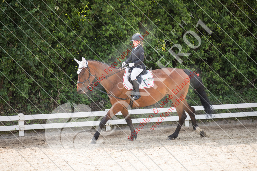 IMG_3511 | Sport-, Event- und Tierfotos in Profiqualität. Einfach auswählen, bestellen und herunterladen. Dein Moment – perfekt festgehalten.