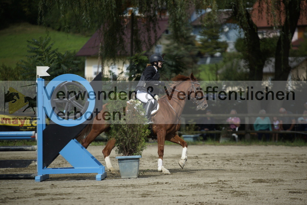 _DSC4332 | equestrian-live-com