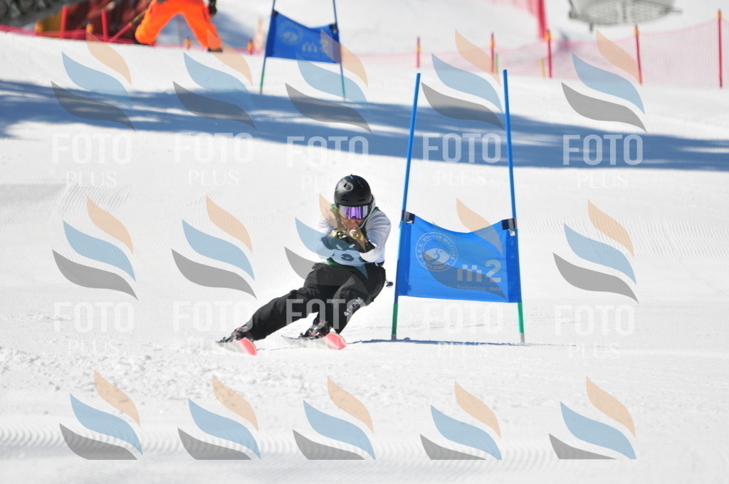 C4431 | holidayphoto