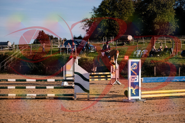2026_10_03_Siefer-Hof_171720_Z81_15069130 | Professionelle Reitsport-, Turnier- und Eventfotografie von Robert Broda. Galerien mit ausgewählten und bearbeiteten Bildern direkt online ansehen und bestellen.