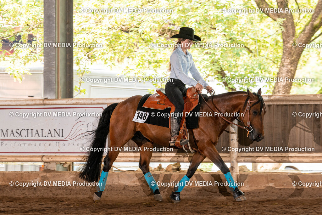 Erbach Tag 3-1100 | dv-media-shop - Realisiert mit Pictrs.com