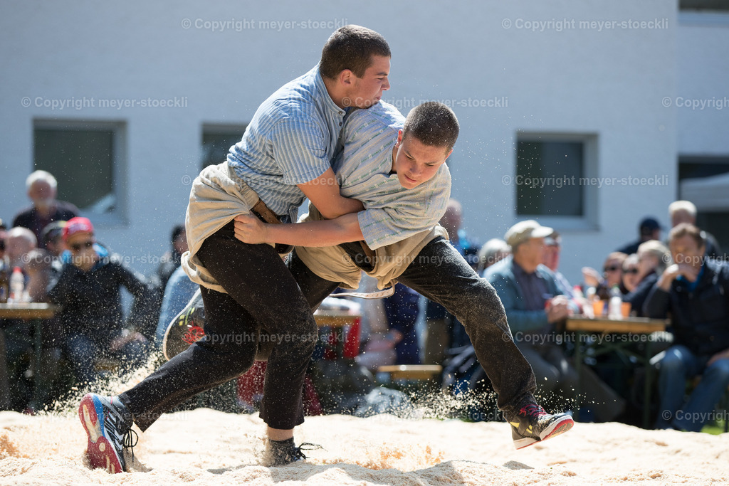 DX3_5562 | meyer-stoeckli