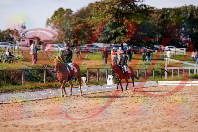 2026_10_03_Siefer-Hof_122304_Z81_22824423 | Professionelle Reitsport-, Turnier- und Eventfotografie von Robert Broda. Galerien mit ausgewählten und bearbeiteten Bildern direkt online ansehen und bestellen.