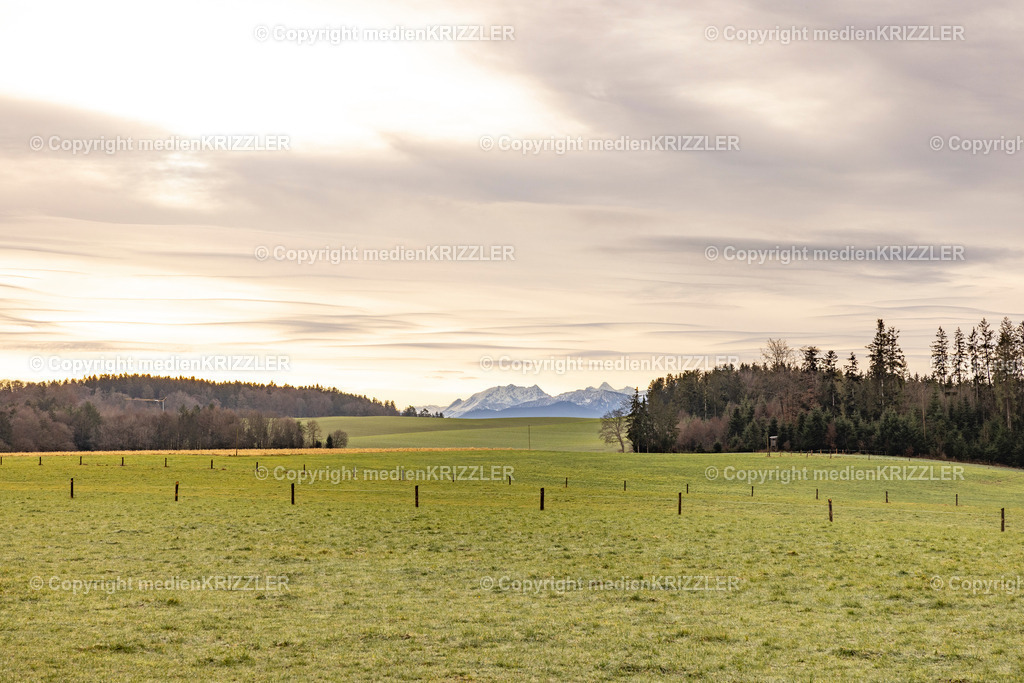 _J3A9897 | medienkrizzler - Realisiert mit Pictrs.com