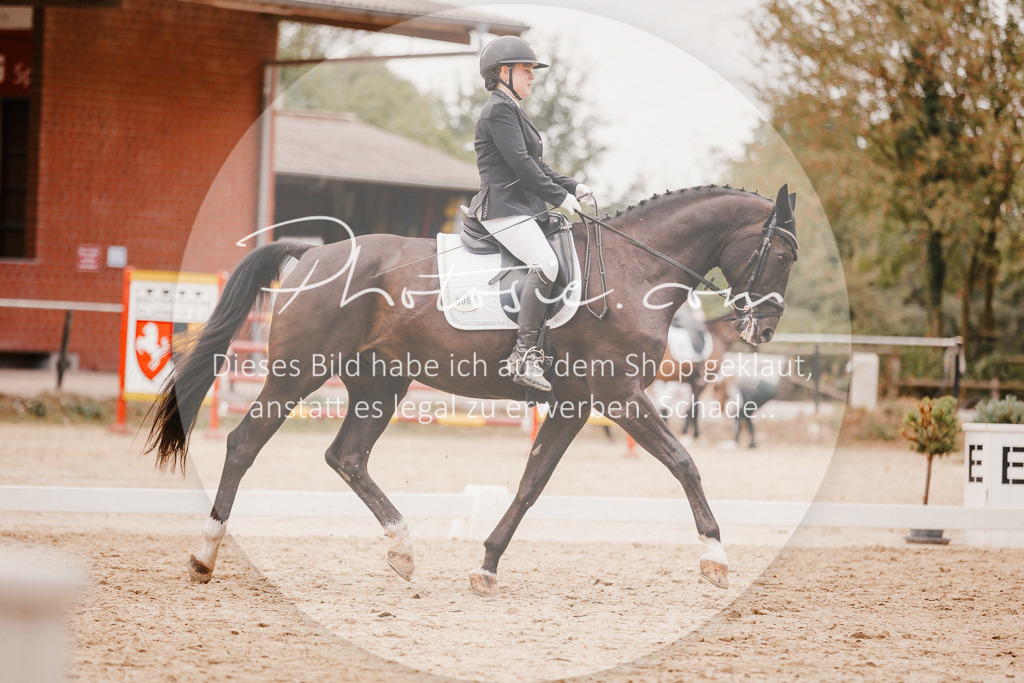 3I6A5974 | Stimmungsvolle Portraits und Reitsportfotografie im Ruhrgebiet und im Münsterland.

Pferdefotografie, Hundefotografie, Tierfotografie, Reportagen, Portraits von Tier und Mensch, Turnierfotografie in Bochum, Recklinghausen, Marl, Haltern am See, Dülmen.. - Realisiert mit Pictrs.com