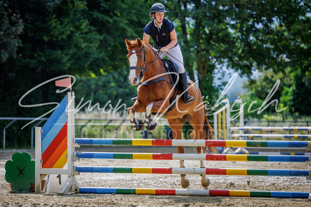 20260705-_3LI4204 | Tierfotografie Pferde, Hunde, Katzen, Haustiere.
Turnierfotografie Reitturniere, Reiten, Springreiten, Dressur in Hanau, dem Main-Kinzig-Kreis und dem Rhein-Main- Gebiet um Frankfurt