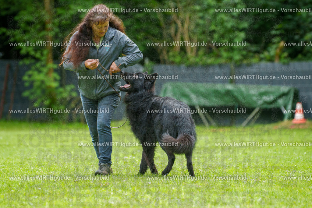 @allesWIRTHgut_Tierfotografie - www.allesWIRTHgut.de - 7R501753 | Professionelle Tierfotografie in Mönchengladbach von Daniel Wirth (allesWIRTHgut). Liebevolle & natürliche Bilder von Hunden & Katzen für unvergessliche Erinnerungen.