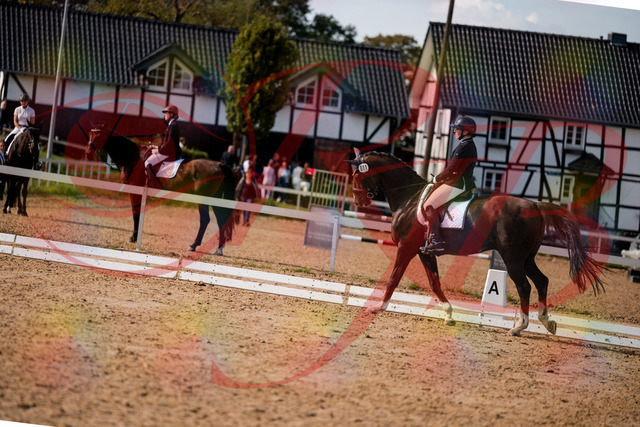 2026_10_03_Siefer-Hof_132359_Z63_86330889 | Professionelle Reitsport-, Turnier- und Eventfotografie von Robert Broda. Galerien mit ausgewählten und bearbeiteten Bildern direkt online ansehen und bestellen.