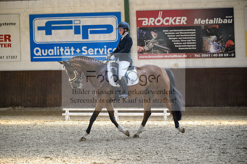 Reitturnier Voxtrup | Entdecke hochwertige Reitturnierfotos von Foto Oger. Professionell, emotional und authentisch – jetzt Lieblingsmomente im Shop bestellen.Deutschlandweite Turnierfotografie. - Realisiert mit Pictrs.com