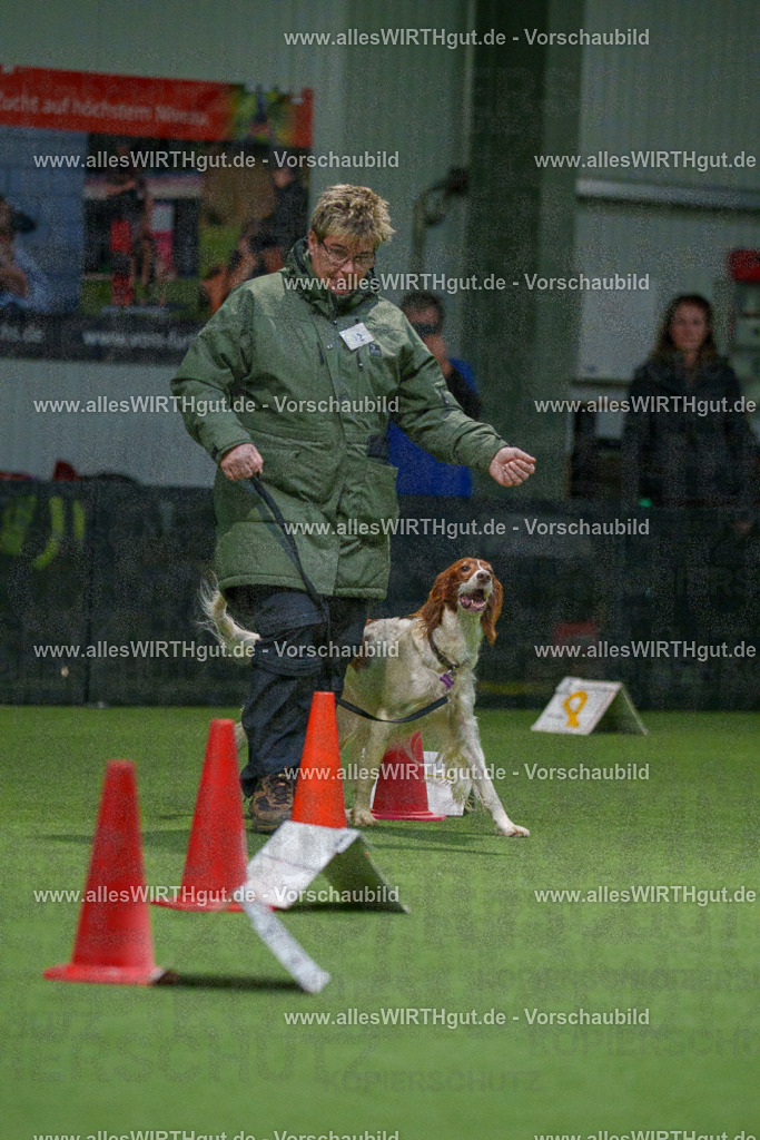 7R504790 | Professionelle Tierfotografie in Mönchengladbach von Daniel Wirth (allesWIRTHgut). Liebevolle & natürliche Bilder von Hunden & Katzen für unvergessliche Erinnerungen.