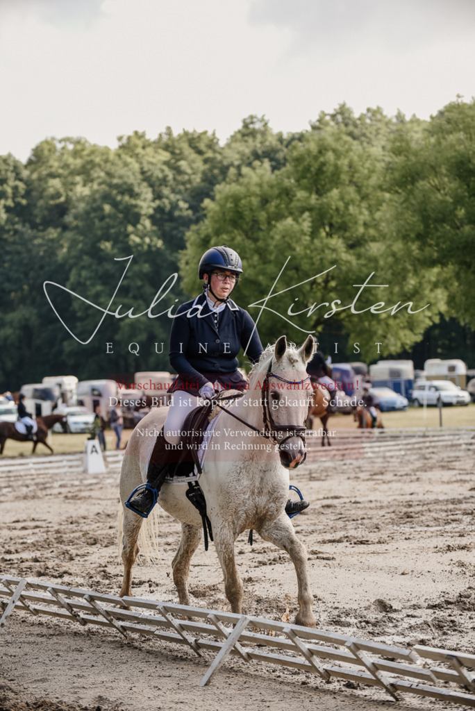 DSC_8060 | Pferde- und Turnierfotografie in Westsachsen. Pferdeportraits, Auftragszeichnungen und intuitive Kunst.
