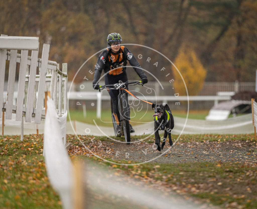 CaniXpix_DV3A8271 | Hundefotografie, Tierfotograf, Pfotenfotografie, Fotoshooting Hund, Hunde Portrait, Hundesport, Hundeportraits, Heideshooting, Hunde, Sportfotograf, Hundefotograf, Turnierhundsport, THS,  - Realisiert mit Pictrs.com
