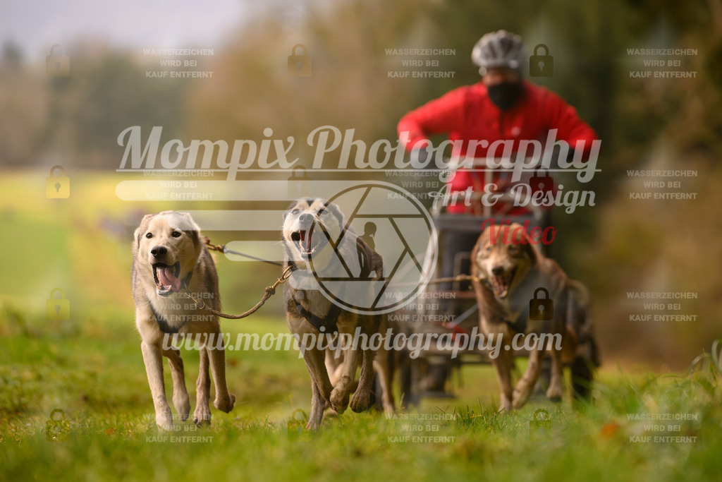MompixPhotography_2SSTSSBW_2025_SO_Kart-13 | PayLife