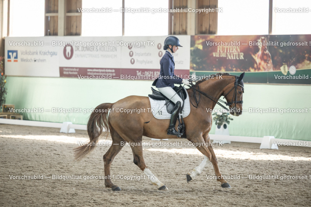 _D5A2641 | Emotionale Pferde- & People-Fotografie rund um Heidelberg, Leimen & Umgebung. Natürliche Fotos von Pferd, Mensch & Familie. Jetzt Termin sichern!