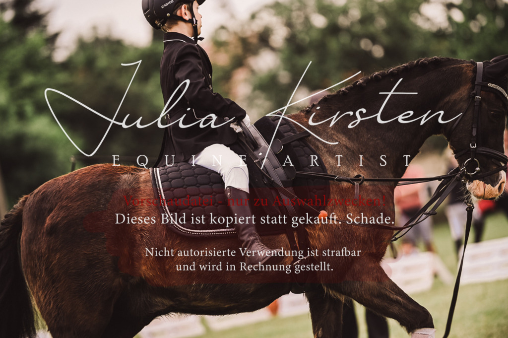 DSC_5315 | Pferde- und Turnierfotografie in Westsachsen. Pferdeportraits, Auftragszeichnungen und intuitive Kunst.