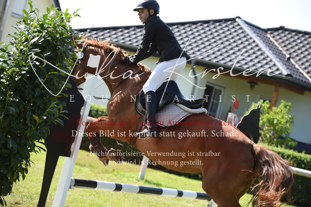 DSC_9195 | Pferde- und Turnierfotografie in Westsachsen. Pferdeportraits, Auftragszeichnungen und intuitive Kunst.