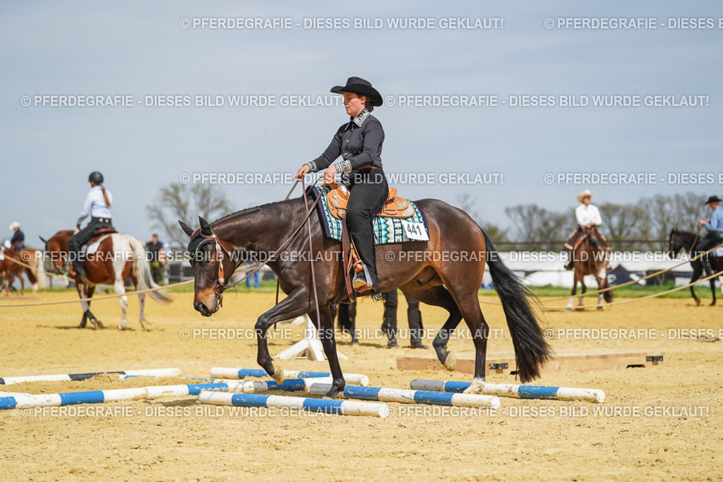 DSC05340 | Pferdegrafie