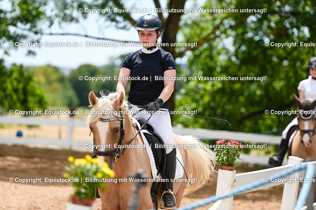 20230715_09_Dressur-WB_0541 | equistock