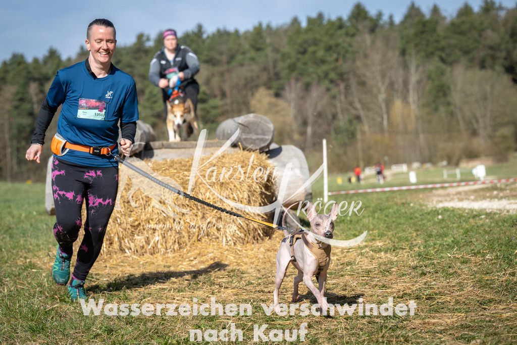 1011_ZZ99394 | kk-dogfotos