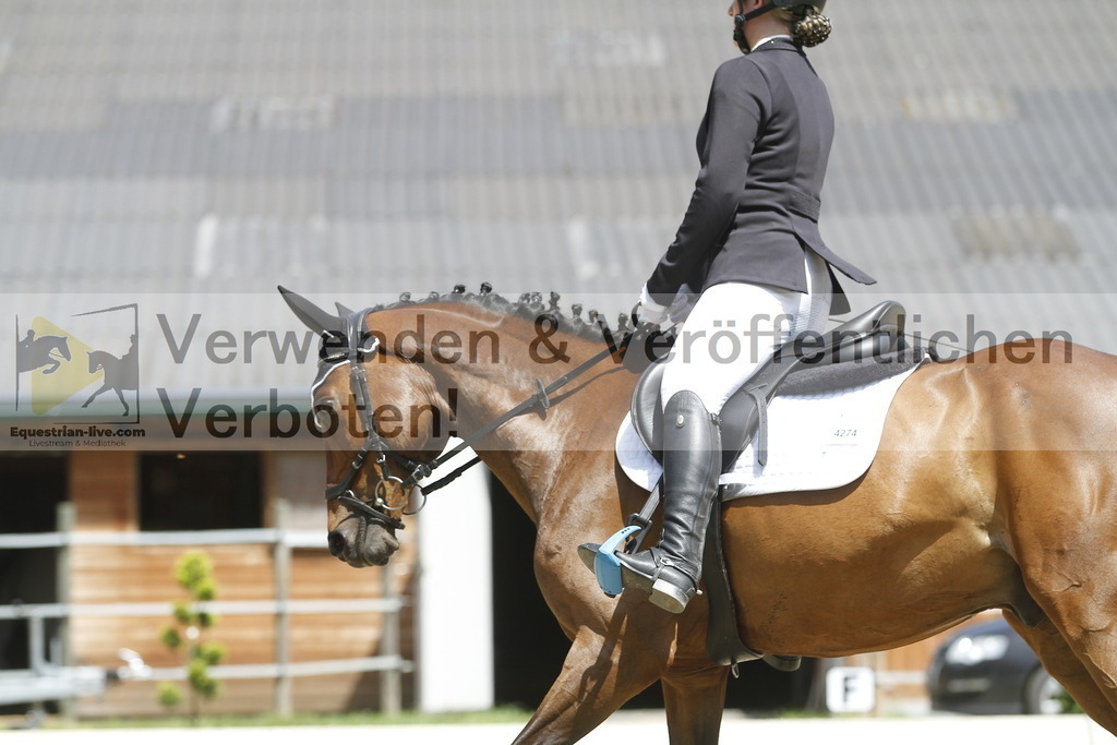 _MG_0867 | equestrian-live-com