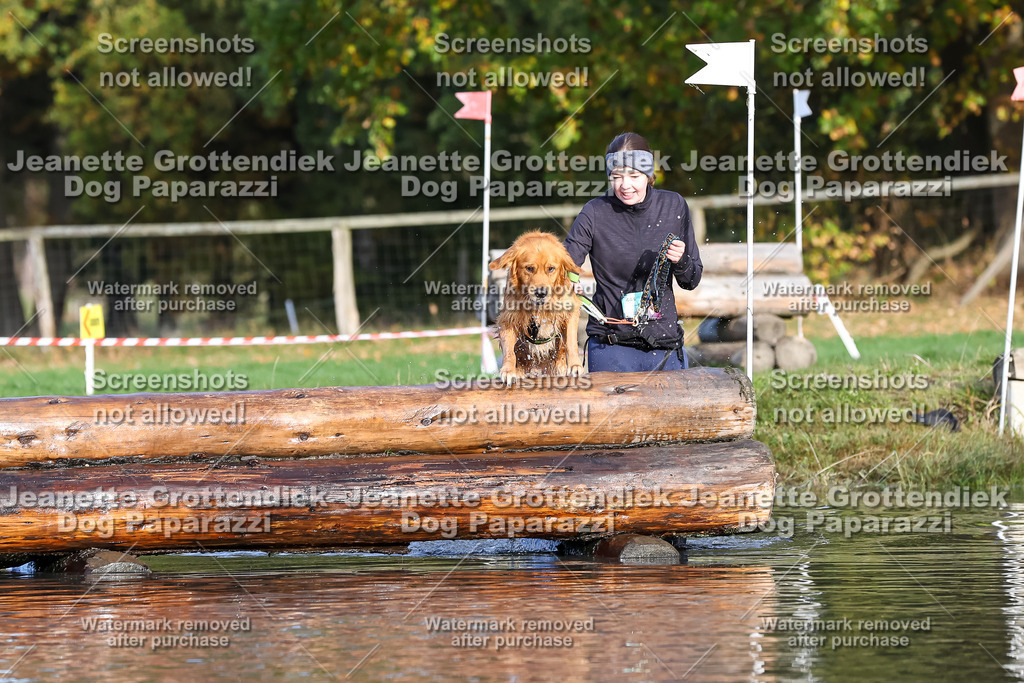 Dog Paparazzi - Strongdog 10-25-8381 | Dog Paparazzi Jeanette Grottendiek Fotografie & Videografie - Realisiert mit Pictrs.com