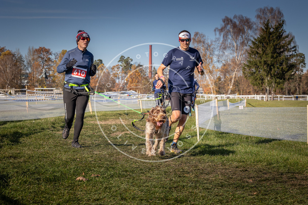 CaniXpix_0L8A8673 | Hundefotografie, Tierfotograf, Pfotenfotografie, Fotoshooting Hund, Hunde Portrait, Hundesport, Hundeportraits, Heideshooting, Hunde, Sportfotograf, Hundefotograf, Turnierhundsport, THS,  - Realisiert mit Pictrs.com