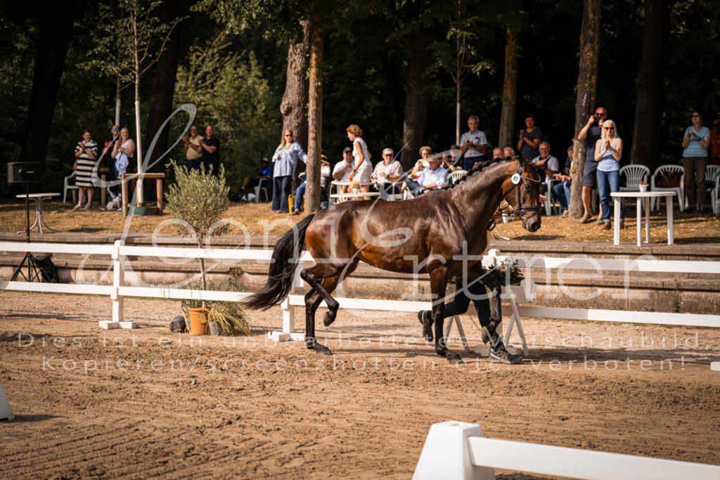 FrER00192 | Leoni Ertmer Photography - Realisiert mit Pictrs.com