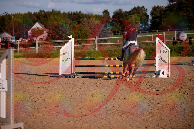 2026_10_03_Siefer-Hof_171404_Z81_11268265 | Professionelle Reitsport-, Turnier- und Eventfotografie von Robert Broda. Galerien mit ausgewählten und bearbeiteten Bildern direkt online ansehen und bestellen.