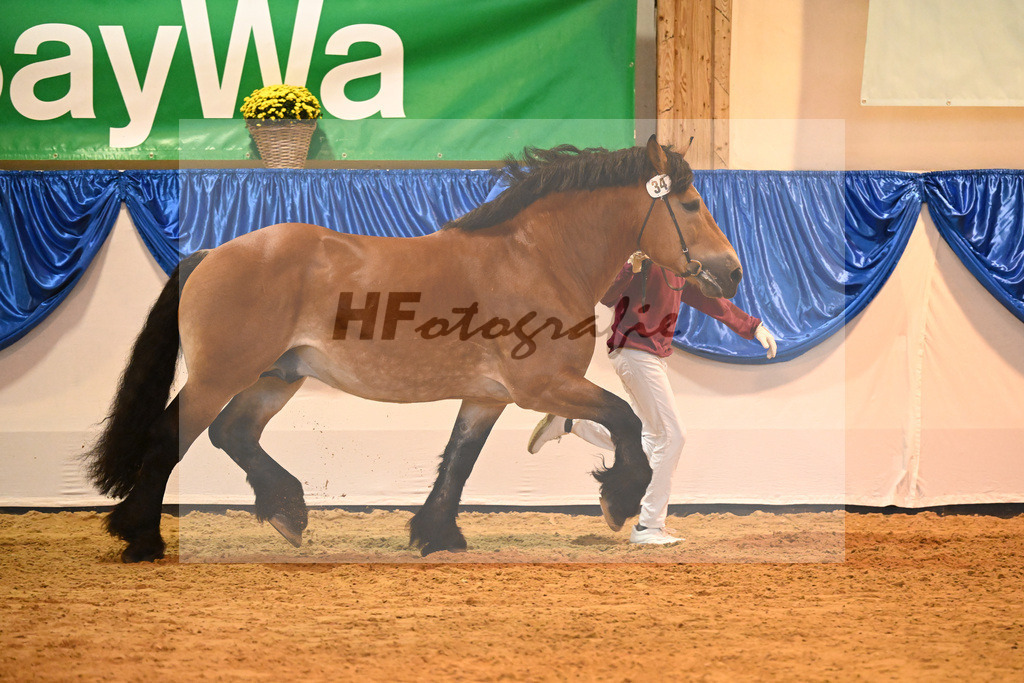 Kat-Nr. 34 Adel_Kaufmann_53221185 | hf-fotografie - Realizzato con Pictrs.com