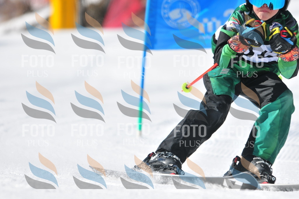 C3140 | holidayphoto