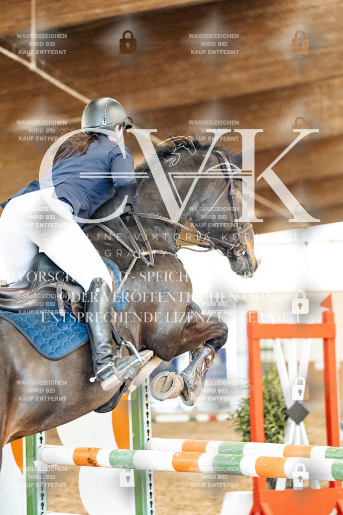 CK905096 | Turnierfotografie Pferdefotografie Trier Rheinland-Pfalz Pferdesport Reitsport Tierfotografie Sportfotografie Pferdevideo Pferdevideografie Equestrianvideography equestrianphotography  - Realisiert mit Pictrs.com