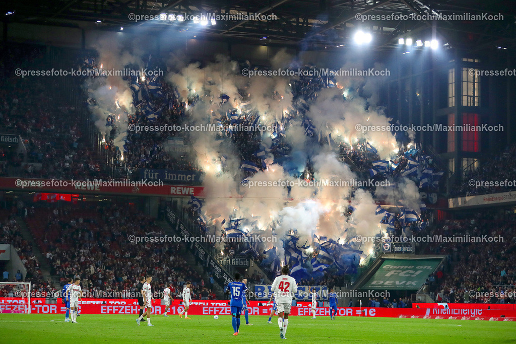 Koe14092401025 | 14.09.2024, 2. Fußball Bundesliga, 1. FC Köln - 1. FC Magdeburg, RheinEnergieSTADION, Saison 2024 2025: Die Ultras Magdeburg zünden bengalisches Feuer Feuerwekrskörper Bengalos Rauchtöpfe Choreografie Choreo im GästeblockDFB regulations prohibit any use of photographs as image sequences and or quasi-video.